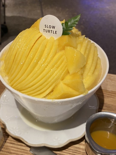 슬로우터틀 이미지