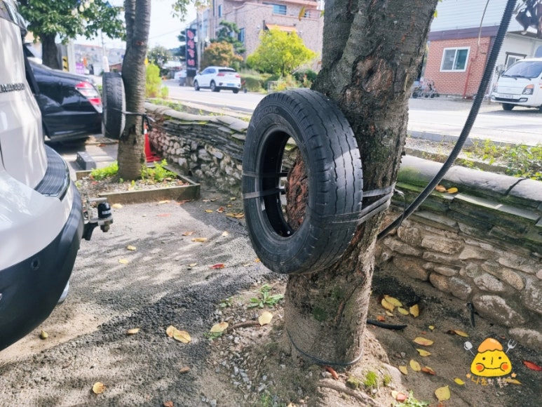 고바우타이어 이미지