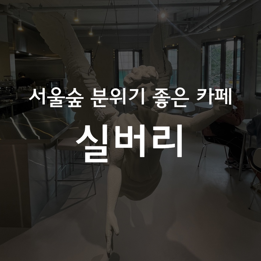 실버리SILVERY 이미지