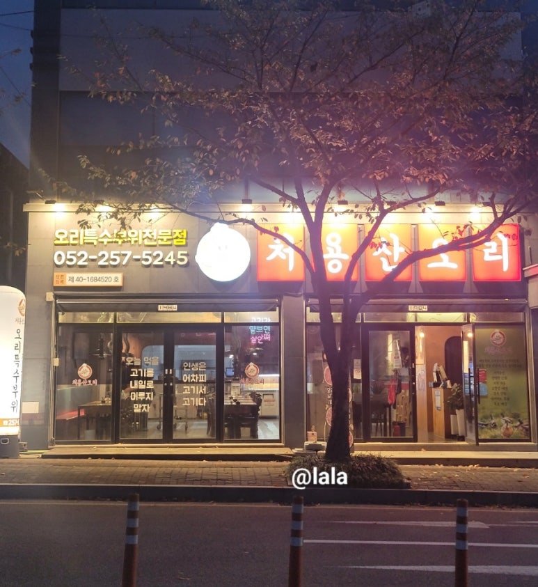 처용산오리 이미지
