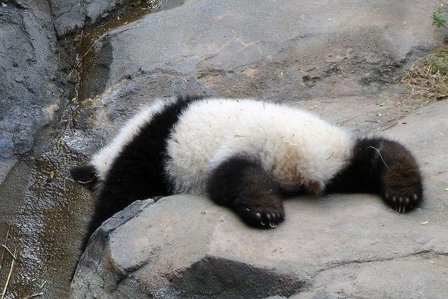 남양상회 이미지
