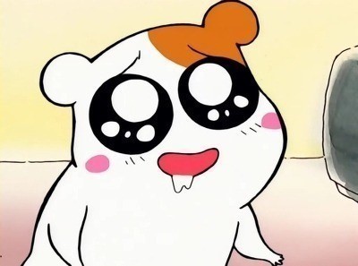 광산고깃간 이미지