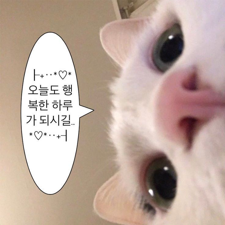 막창사냥꾼 이미지
