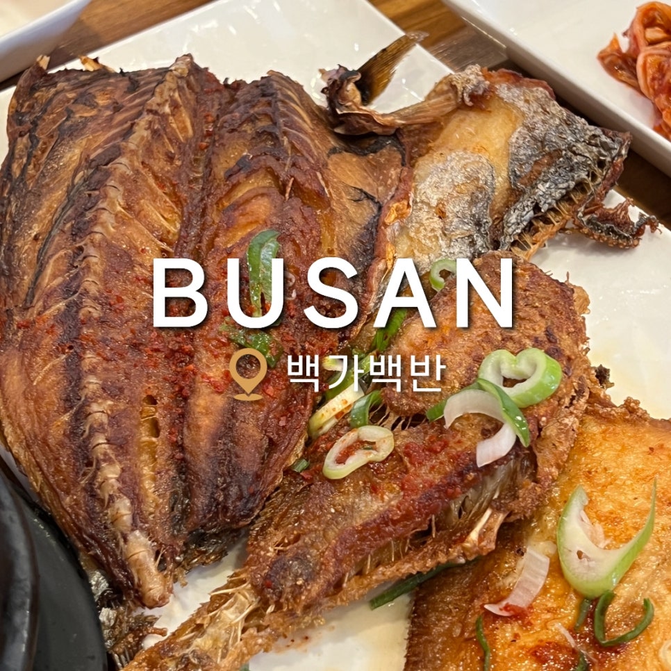백가백반 이미지