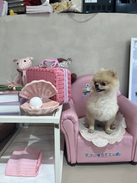뚜드림 이미지