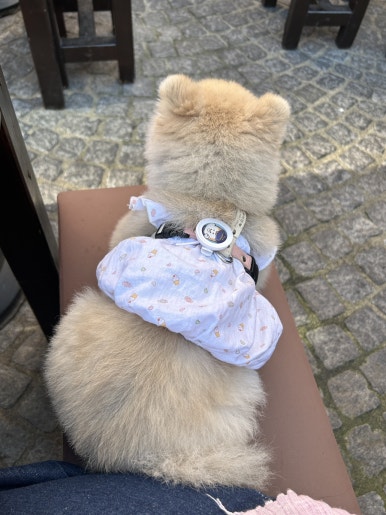 뚠뚠coffee 이미지