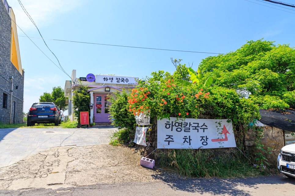 영칼국수 이미지