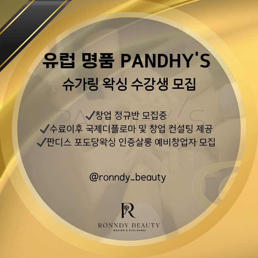 판디스 이미지