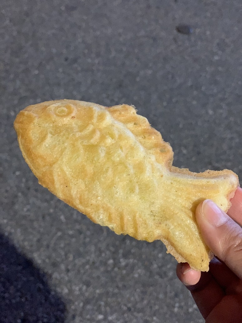 올리브 사진 8