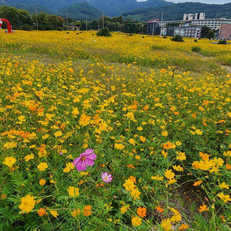 구례군청소년수련원 이미지