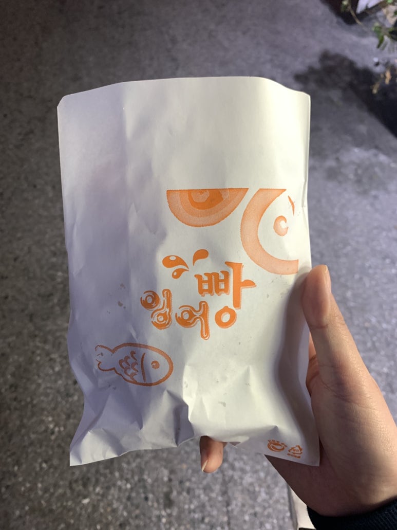올리브 사진 7