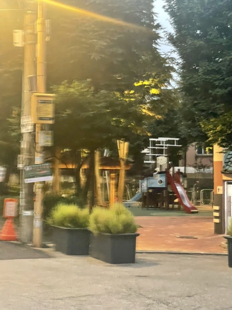 맥스민 이미지