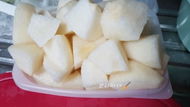 프리미어 농짱 이미지