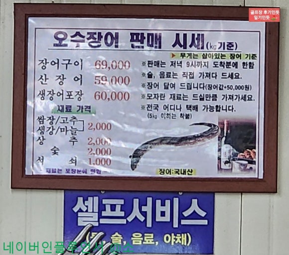 오수장어 이미지