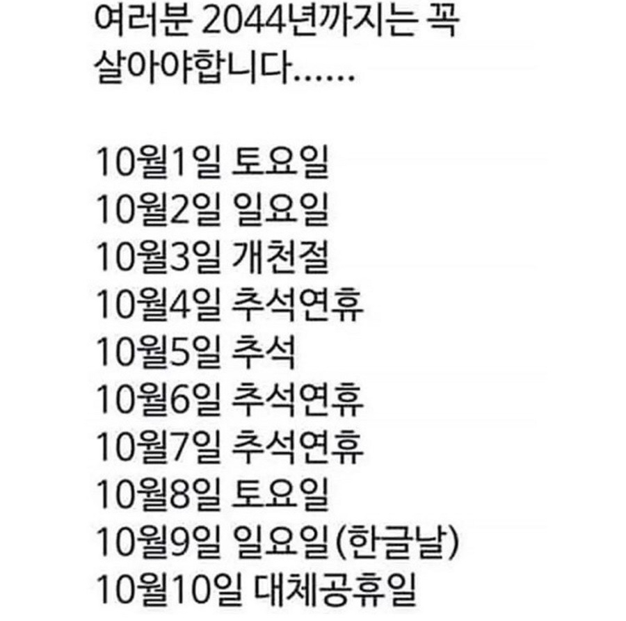 카스테라연구소 이미지