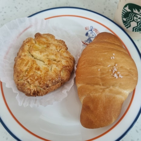 달달굽냥 이미지