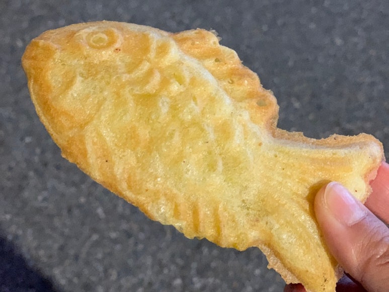 올리브 대표 사진
