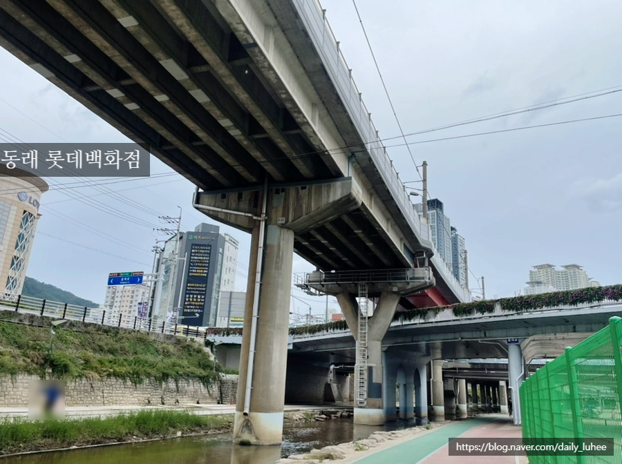 풋43(FOOT43) 이미지