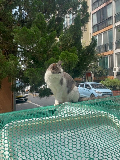 우성운 이미지