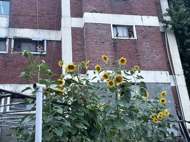 백가네칼국수 이미지