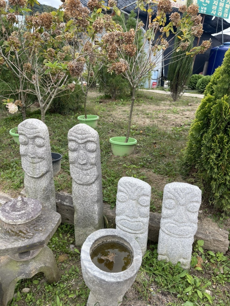 장암다육 이미지