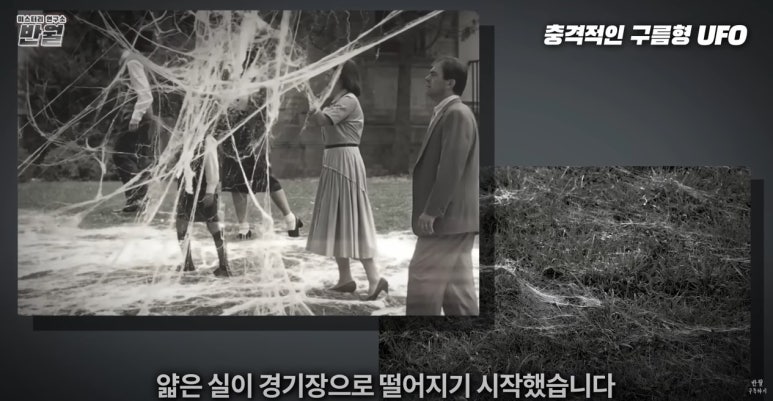 헤어UFO 이미지