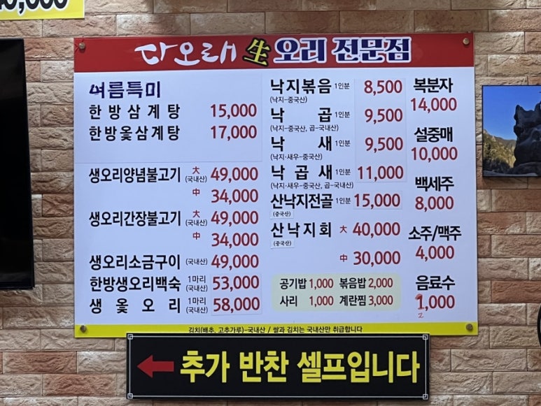 다오래 이미지