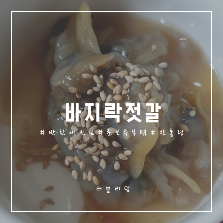 반찬애 이미지