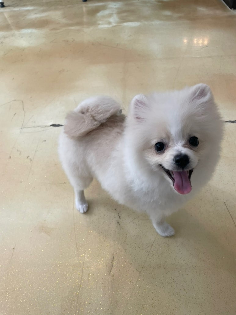구르미교육 이미지