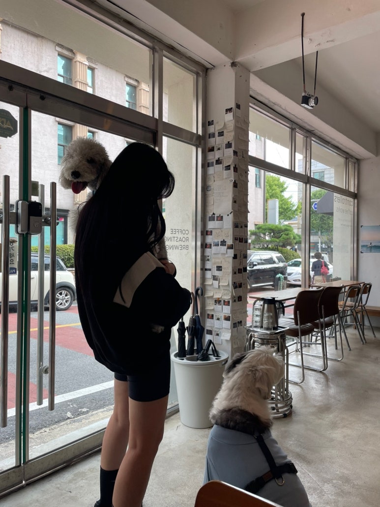 롤러스 이미지