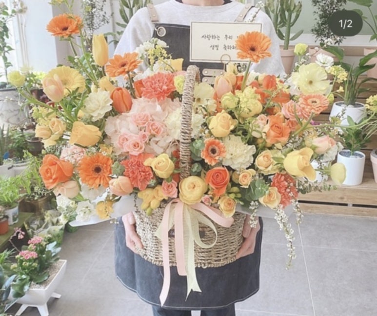 소가화 이미지
