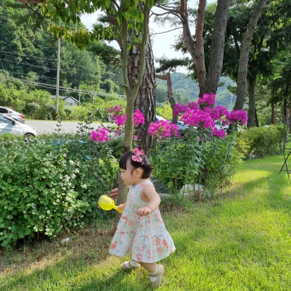 피콕빌리지 이미지