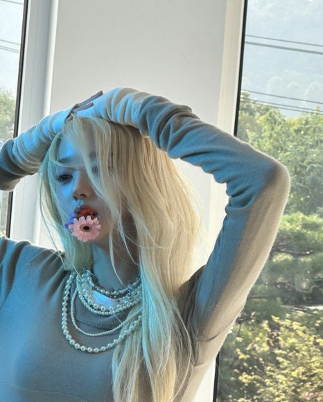 오슈아 이미지