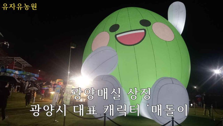 광양닭숯불구이 이미지