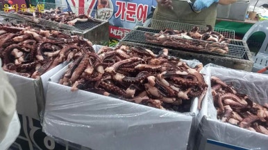 광양닭숯불구이 이미지