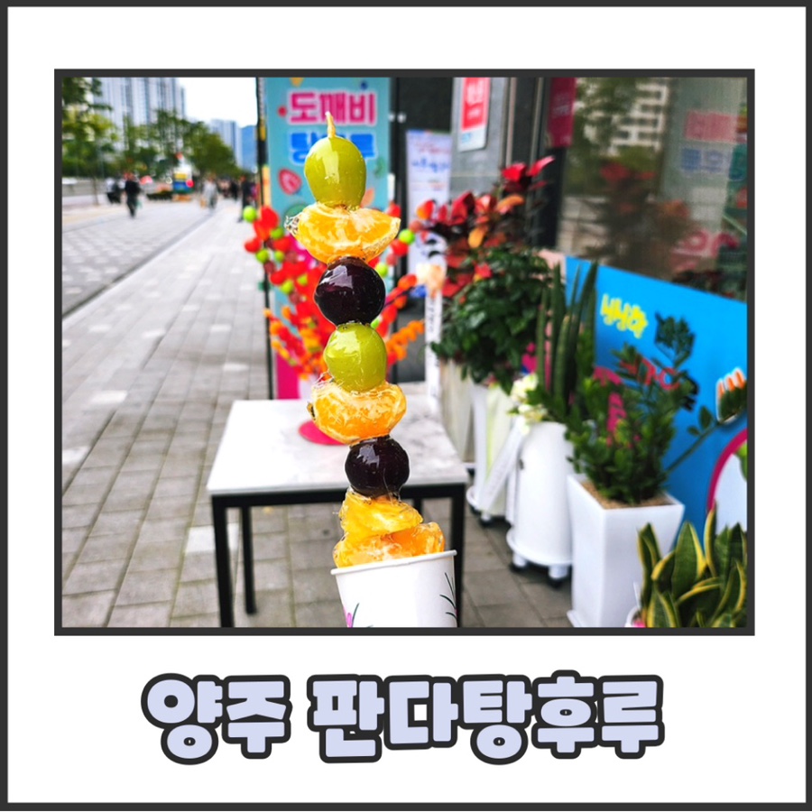 언니네과일가게 이미지