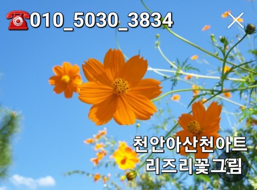 리즈리꽃그림 이미지