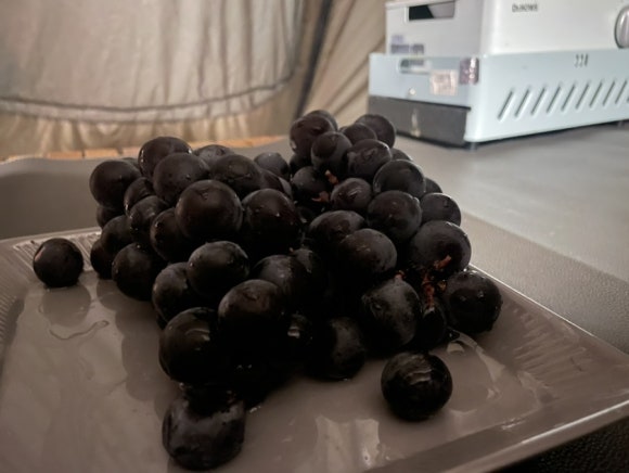 산여울캠핑장 이미지