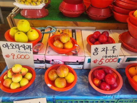 송악청과 이미지