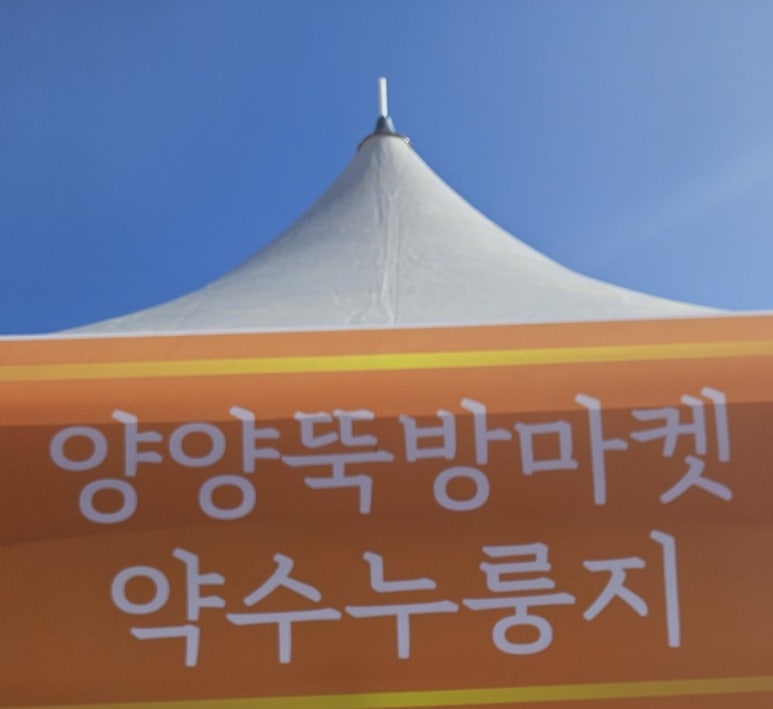 솥쟁이 이미지
