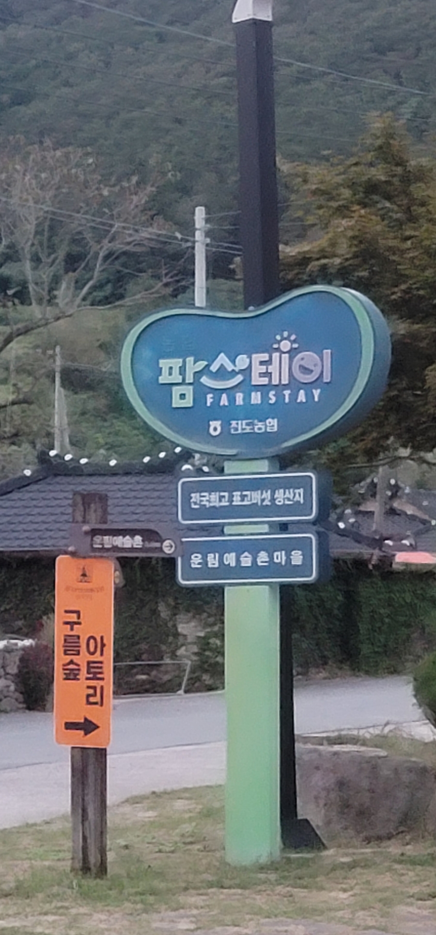 룸숲 이미지