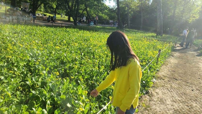 향운 이미지