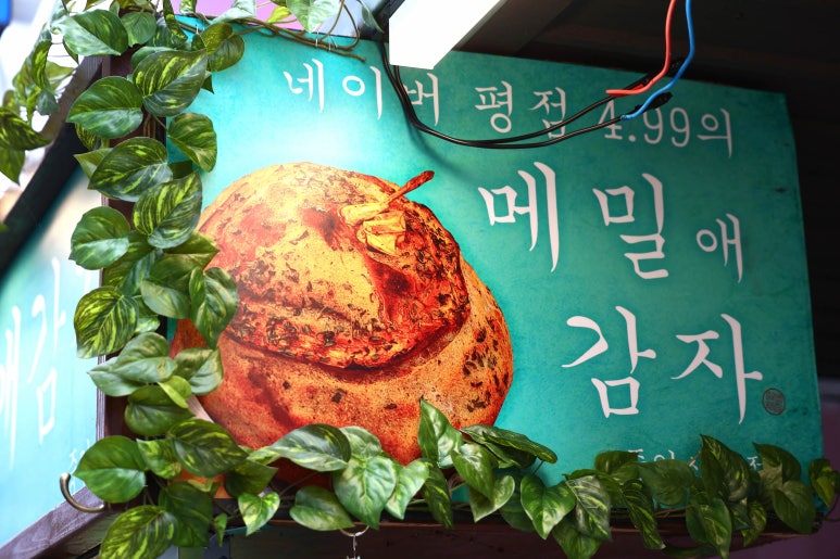 메밀애감자중앙 이미지