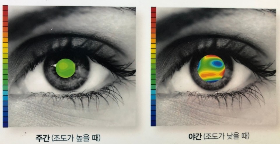 광명드라이브 이미지