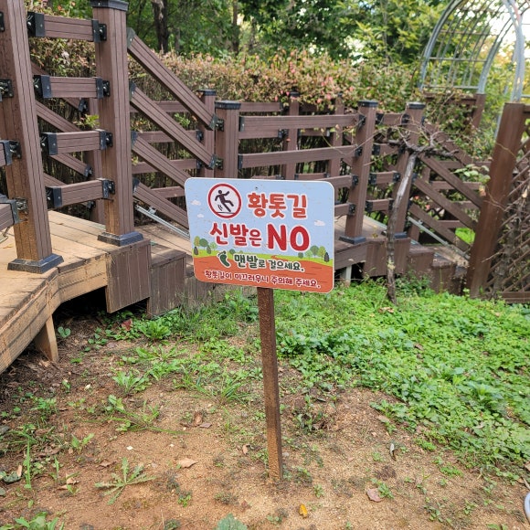 천년숲 유아숲체험원 이미지