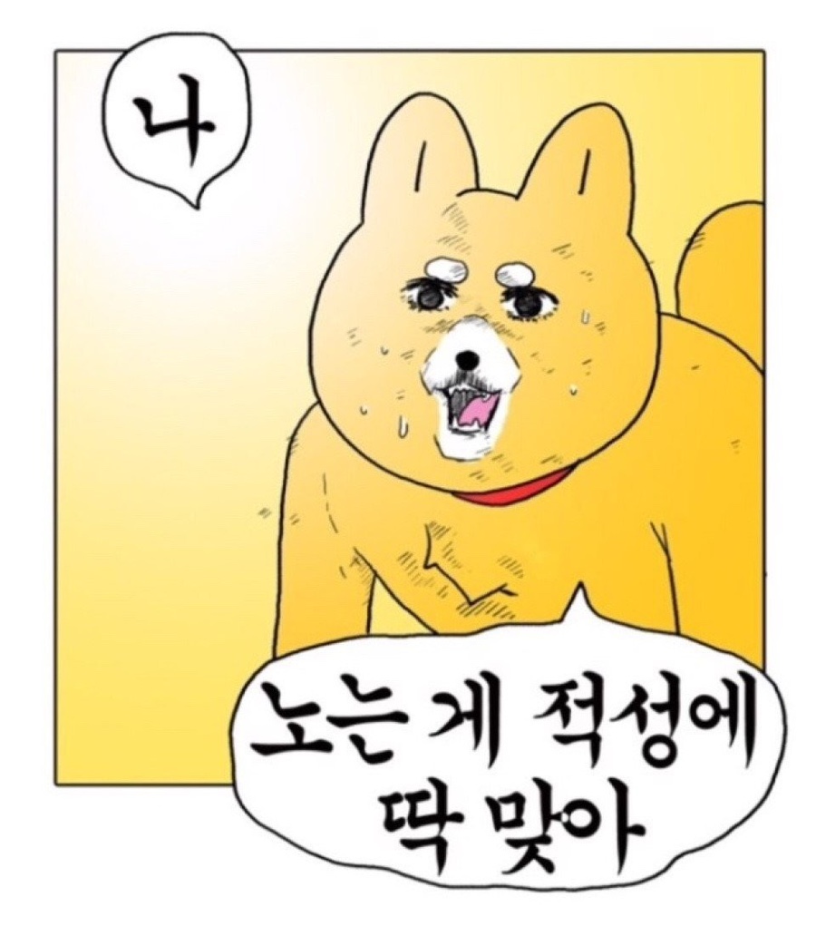(주)조하 이미지