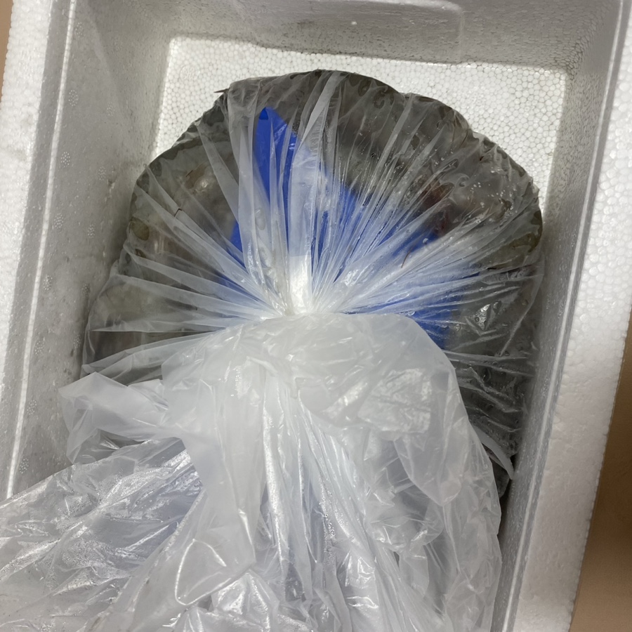 팔복수산 이미지