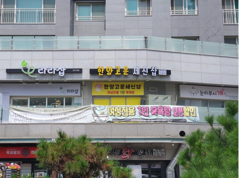 사우꽃이피는곳 이미지