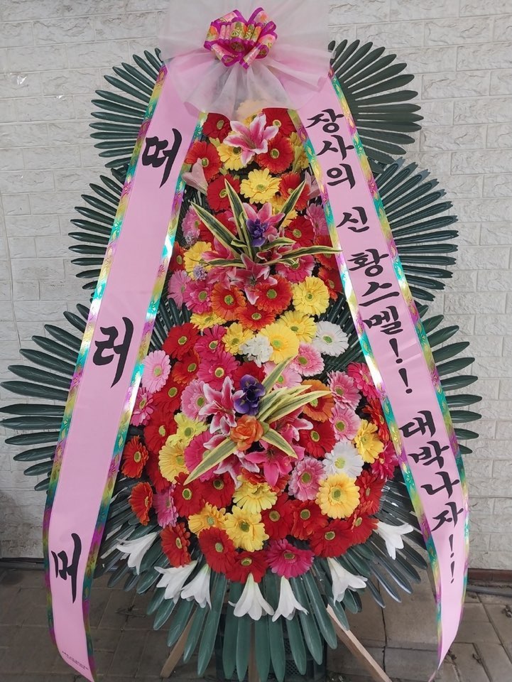 여니플로라 이미지
