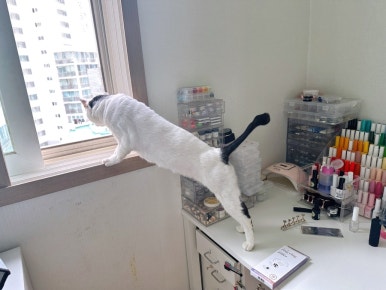 주인님작업실 이미지